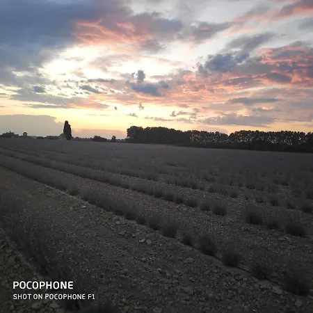 Abrivado En Petite Camargue *