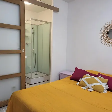 Appartamento Abrivado En Petite Camargue, Parking Intérieur, Wifi, Jardin, Clim