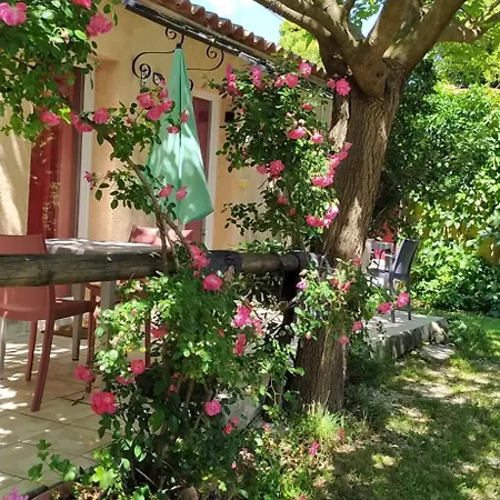 Abrivado En Petite Camargue, Parking Intérieur, Wifi, Jardin, Clim Appartamento *