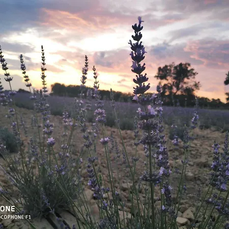 Abrivado En Petite Camargue